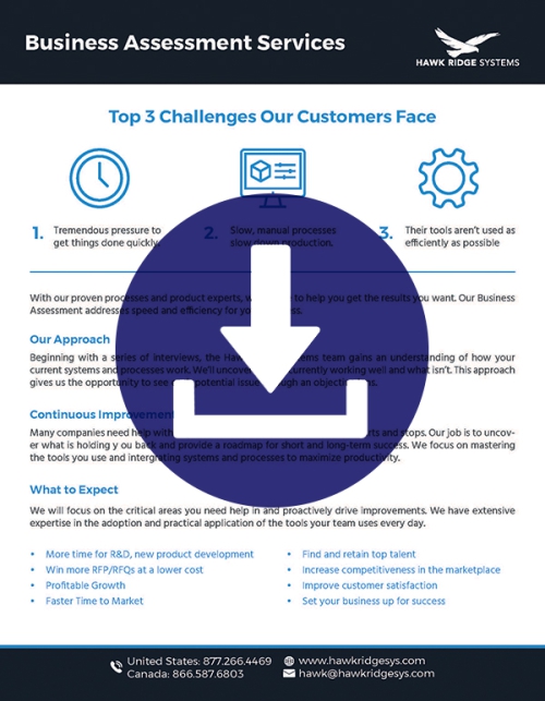 Are Business Assessments Right for You download