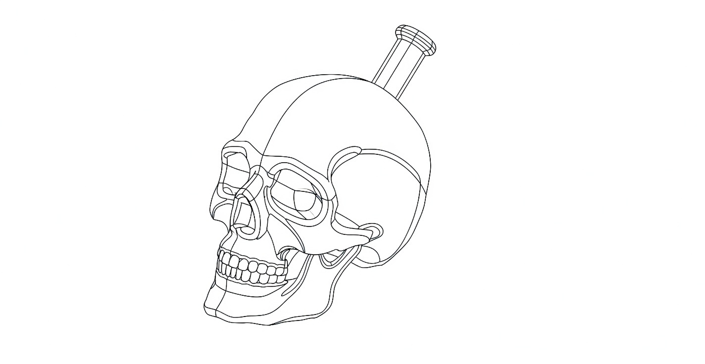 SOLIDWORKS wireframe model of the skull-shaped Aztec death whistle, showing its internal scream chambers.