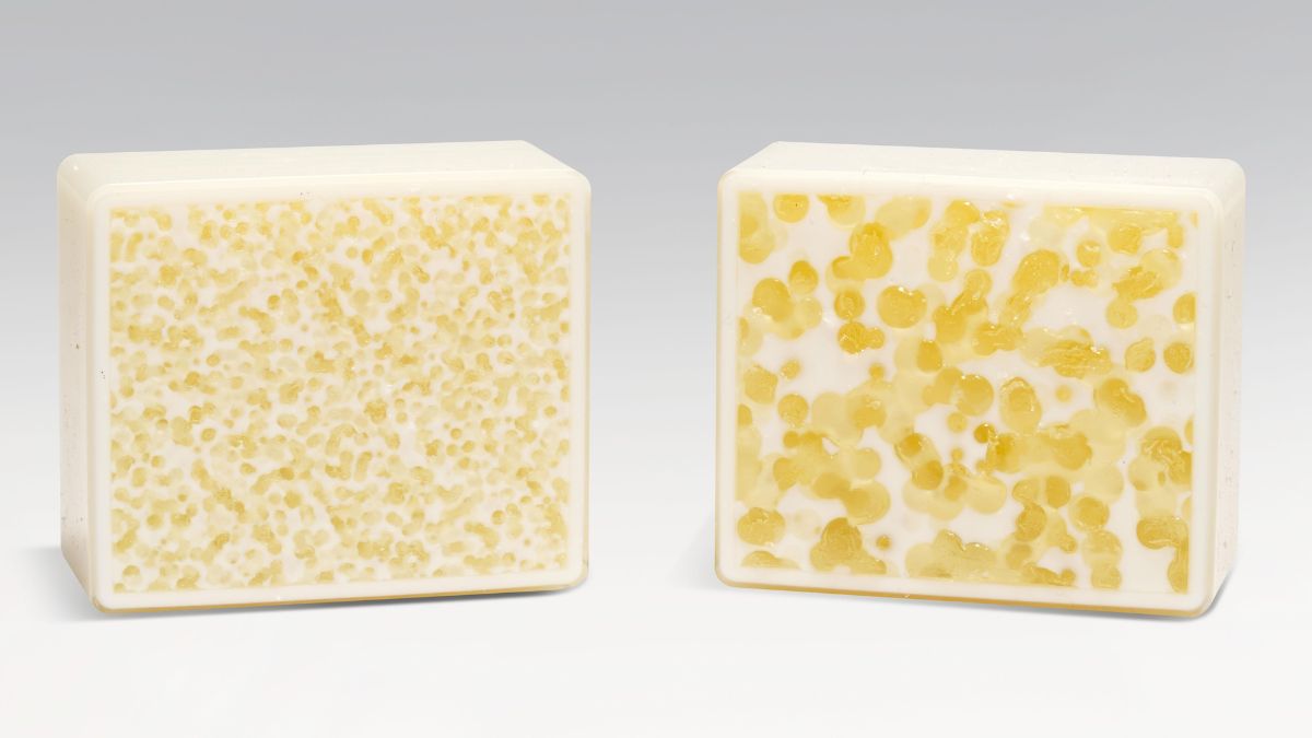 Two printed sample blocks showing different internal tissue-like patterns.